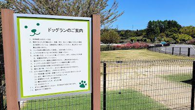 ドッグランがあり、犬の散歩をしている方もちょくちょく見かけました。