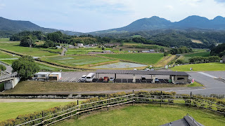 展望台から見た傾斜が少しあるエリアの駐車場。GW中は正面駐車場が満車近くになるため、このエリアも活用されます。