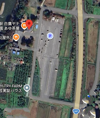 道の駅 白鷹ヤナ公園 駐車場（Googleマップ衛星写真）