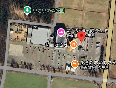 Googleマップ衛星写真(赤いピンの位置が道の駅)