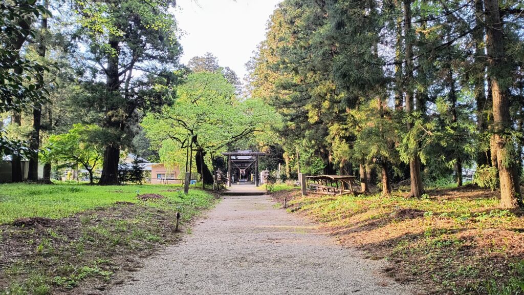 静けさに包まれた参道。歩くだけで気持ちが落ち着きます。