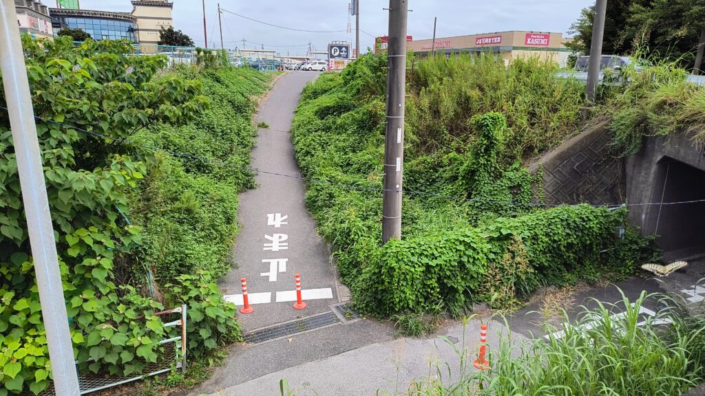 これはドン・キホーテや温泉、スーパーに続く道。第2駐車場は写真右のトンネルの先、道の駅は左方向に行った先です。